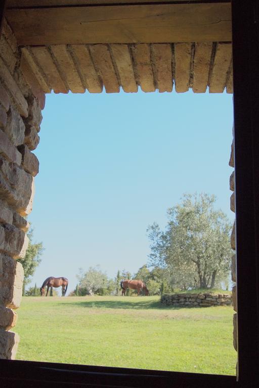 Podere Campovecchio Rapale Room photo